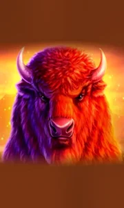 Buffalo 50